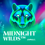 Midnight Wilds slot game